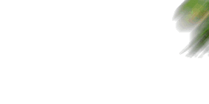 35.gif