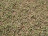 DSC01731.JPG