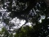 DSC00969.JPG