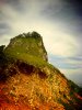 DSC02877.jpg