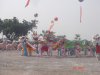 龙狮汇演23.JPG
